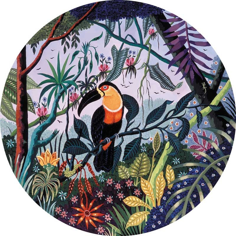 Michele Wilson Puzzles Toucan
