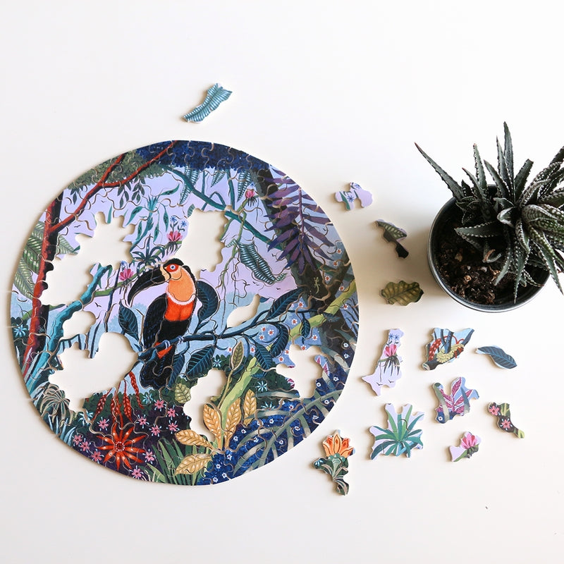 Michele Wilson Puzzles Toucan