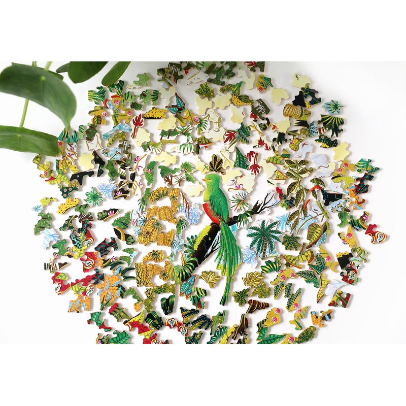 Michele Wilson Puzzles Splendid Quetzal