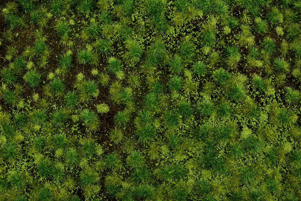 Bachmann - Tufted Grass Mat Medium Green