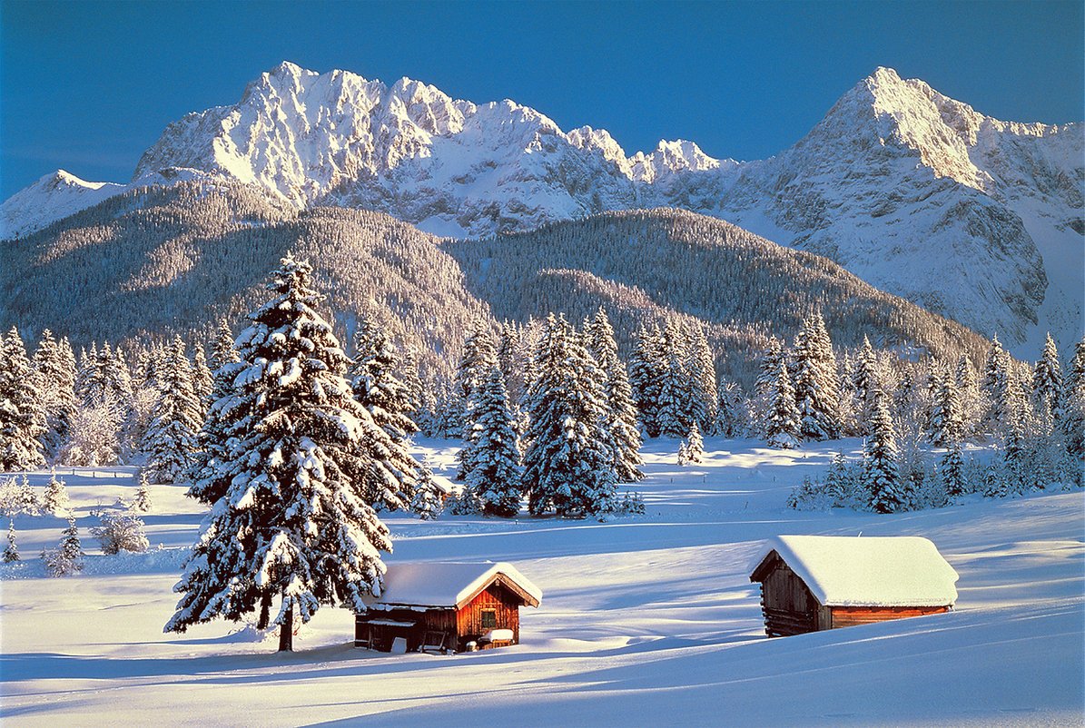 Tomax - 1000pc Snowy Season
