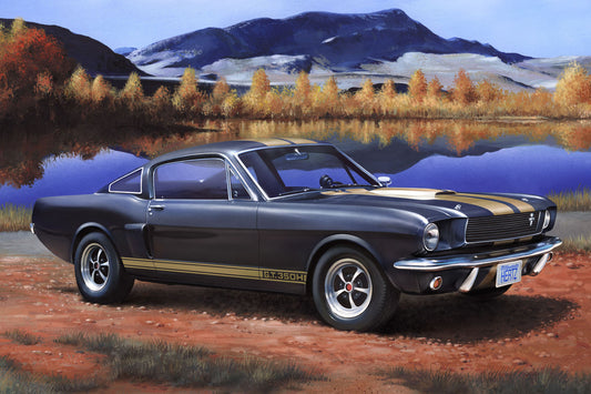 Revell - Model Set Shelby Mustang GT 350 1:24 Scale