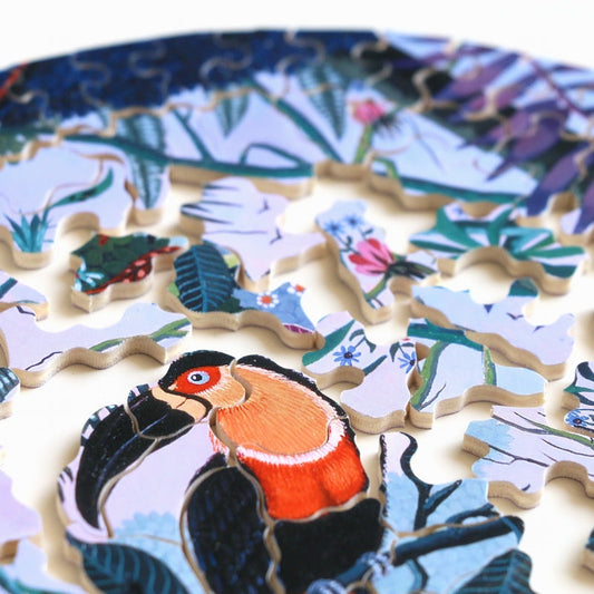 Michele Wilson Puzzles Toucan