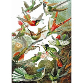 Michele Wilson Puzzles - LES COLIBRIS - (500)