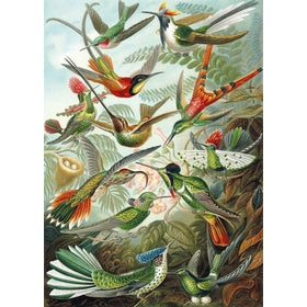 Michele Wilson Puzzles - LES COLIBRIS - (500)