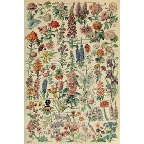 Michele Wilson Puzzles - FLEURS POUR TOUS - (250)