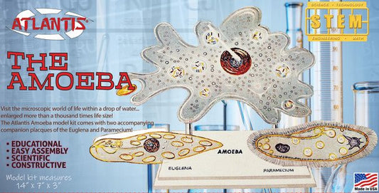 Atlantis - Amoeba Single Cell Model Kit