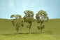 Bachmann - Scenescapes Maple Trees 3-4'