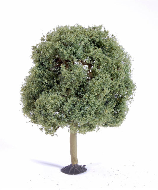 Bachmann - O Oak Trees