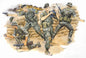 DML - Green Berets 1:35