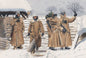 DML - German Infantry Wachtmantel