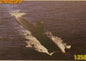 Hobby Boss - French Sub Triomphant 1:350
