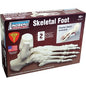 Lindberg - Skeletal Foot 1:1##
