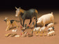 Tamiya - LIVESTOCK SET 1:35