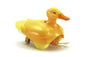 Tamiya - Walking and Swimming Yellow Duck
