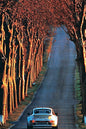 Tomax - 1000pc My Way