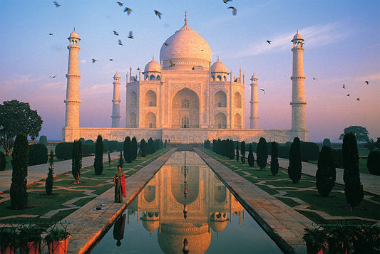 Tomax - 1000pc Taj Mahal