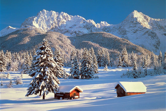 Tomax - 1000pc Snowy Season