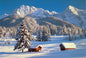 Tomax - 1000pc Snowy Season