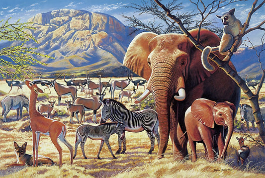 Tomax - 1000pc Savanna Sunrise