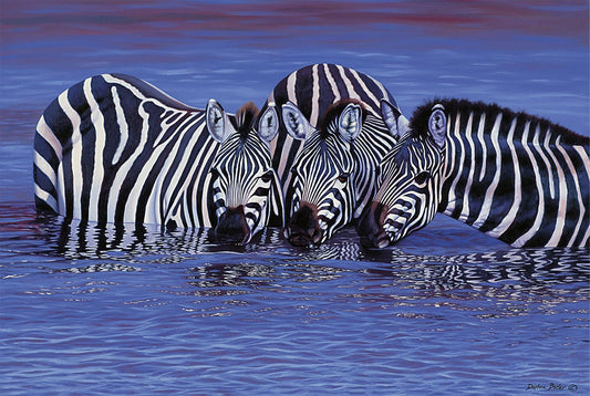 Tomax - 1000pc Zebras in The Water