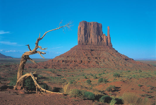 Tomax - 1000pc Monument Valley