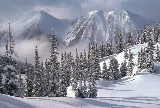 Tomax - 1000pc Snowy Winter Glow