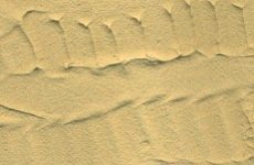 Vallejo - Desert Sand 200ml 3p