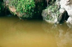 Vallejo - Still Water 200ml 1p