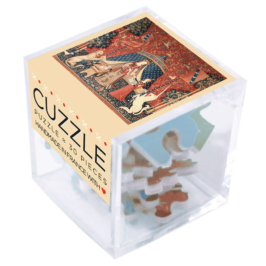 CUZZLES Michele Wilson puzzles - DESIR HC - (30)