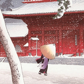 CUZZLES Michele Wilson puzzles - ZOJOJI - (30)