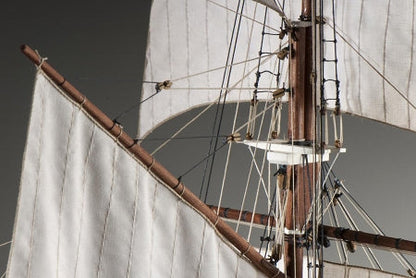 Dusek-Mamoli - D021 - La Belle Poule - Wood and Metal Plank-on-Frame Ship Model Kit - Length: 755 mm (30''),Height: 655 mm (26'') Scale 1/50